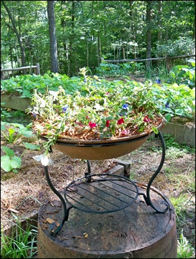 Keen Inspirations: Repurposed Fire Pit